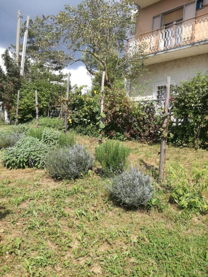 B&B Nel Verde Montesano sulla Marcellana Luaran gambar