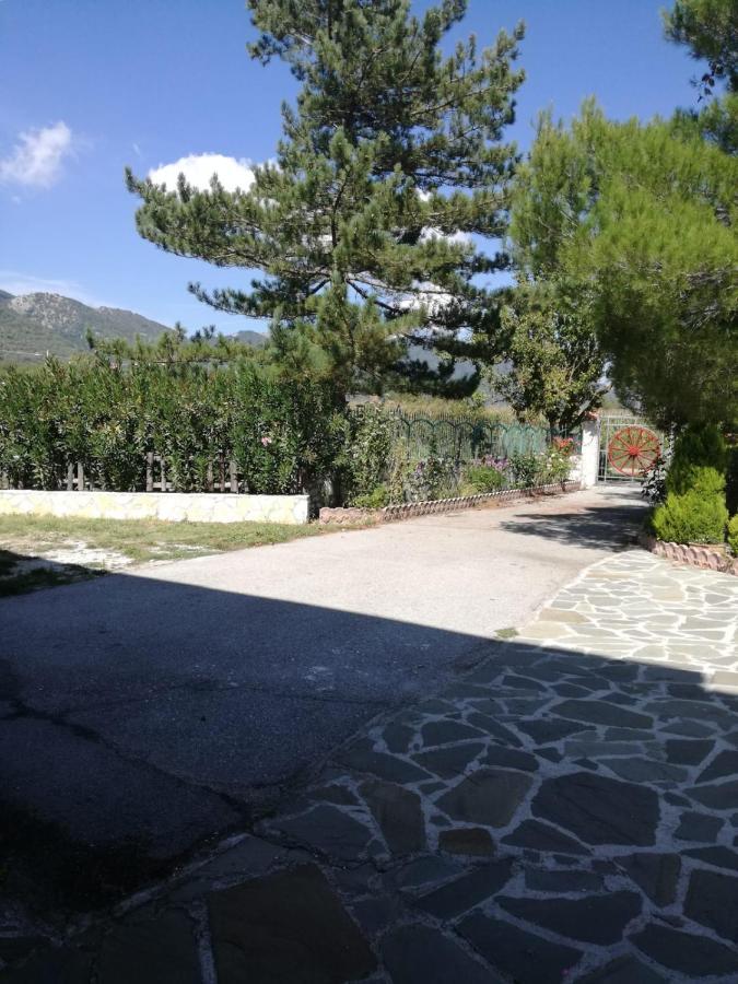B&B Nel Verde Montesano sulla Marcellana Luaran gambar