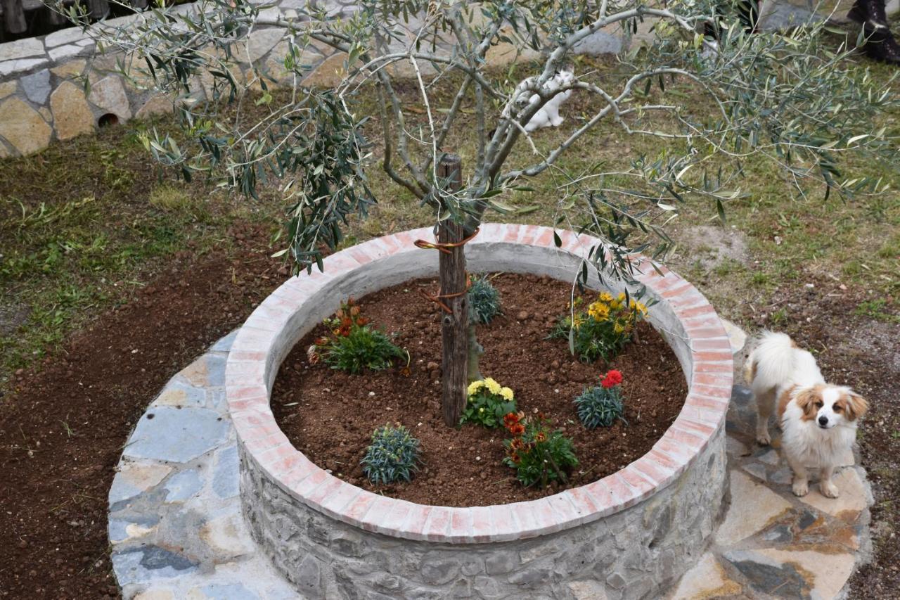 B&B Nel Verde Montesano sulla Marcellana Luaran gambar