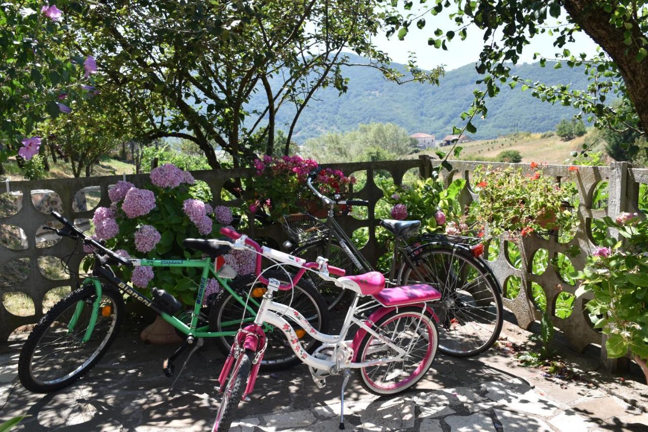 B&B Nel Verde Montesano sulla Marcellana Luaran gambar